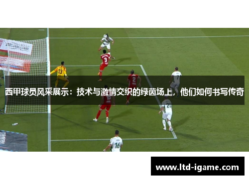 西甲球员风采展示：技术与激情交织的绿茵场上，他们如何书写传奇