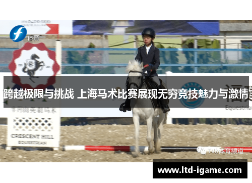 跨越极限与挑战 上海马术比赛展现无穷竞技魅力与激情