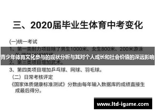 青少年体育文化参与的现状分析与其对个人成长和社会价值的深远影响