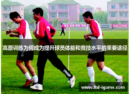 高原训练为何成为提升球员体能和竞技水平的重要途径