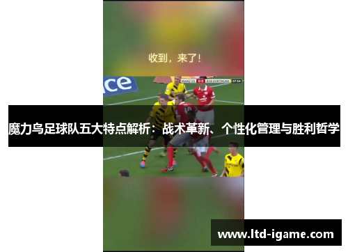 魔力鸟足球队五大特点解析：战术革新、个性化管理与胜利哲学
