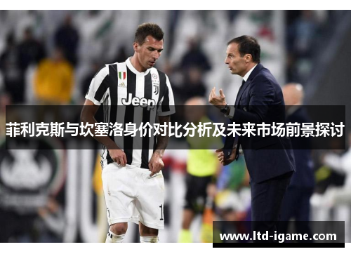 菲利克斯与坎塞洛身价对比分析及未来市场前景探讨