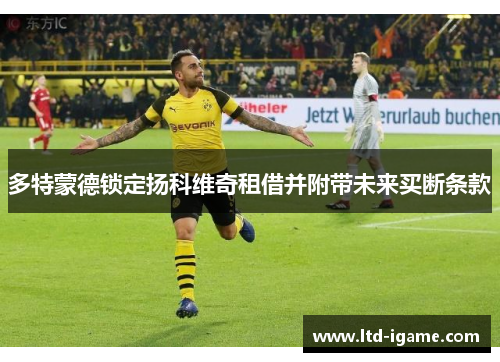多特蒙德锁定扬科维奇租借并附带未来买断条款